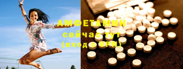 тгк Абаза